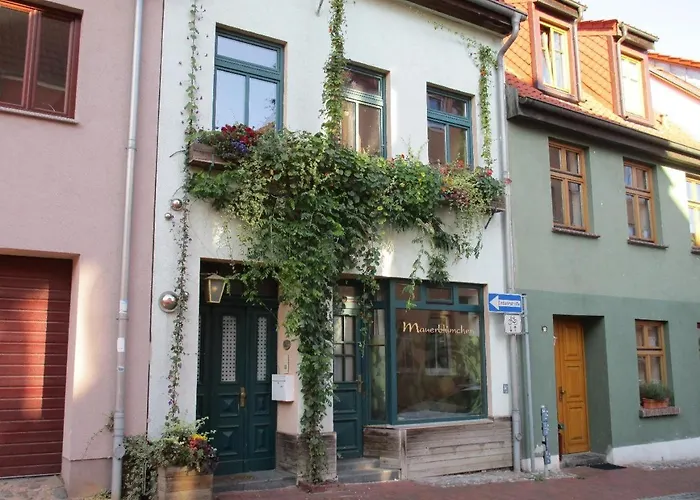 Ferienwohnung-Im-Mauerbluemchen